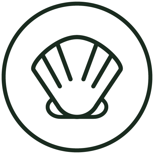 Shellfish