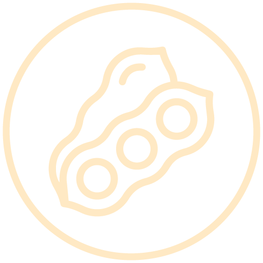Soy